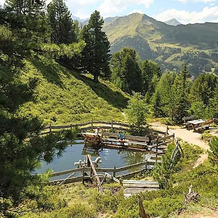 Aktiv- & Gesundheitsresort Gxund - Thermeneintritt Inklusive Apartahotel Bad Hofgastein